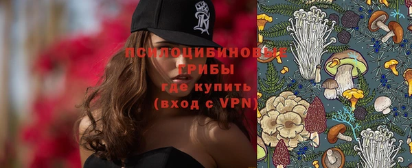 кокс Баксан