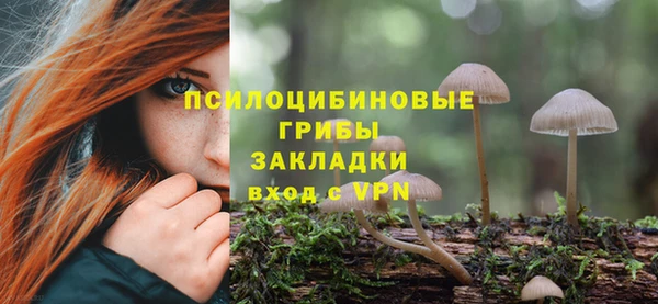 СК Балабаново